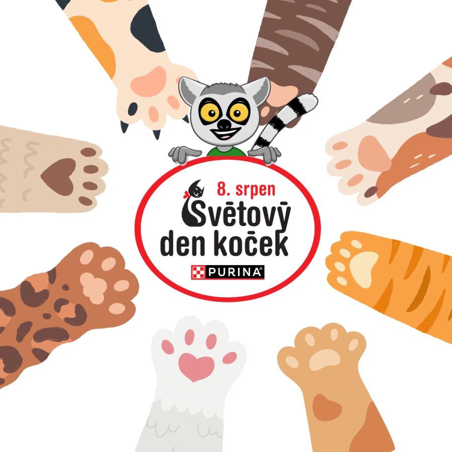 světový den koček zipi1